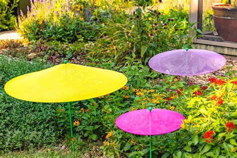 Protect Your Plants with Vibrant PlantBrella Designs
