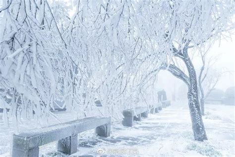 大雪纷飞！哈尔滨天地浑然一体 市民冒雪出行-天气图集-中国天气网
