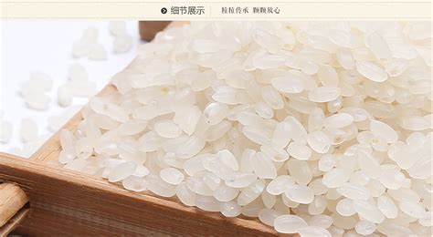 大米起筋图片,大米图片,粳米和大米的区别图片_大山谷图库