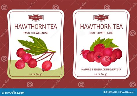 Hawthorn Berry Tea Sticker Design with Ripe Fruit Vector Template Stock ...