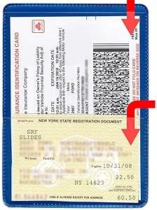 StoreSMART - Auto Insurance & ID Card Holders - RFS20, Metallic Blue, 5 ...