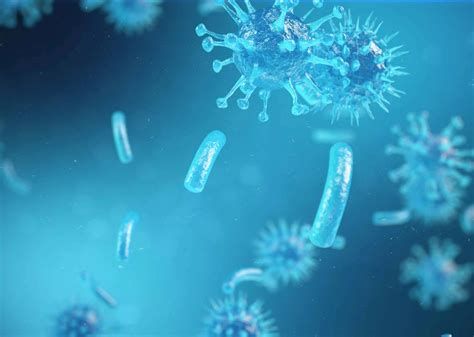 Tips to Boost Immune System | Immunity & Wellness - Curegarden