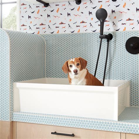 Dog Wash Sink How To Turn A Utility Sink Into A Dog Bath | TikTok