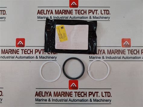 Wsi 100819Rk Valve Repair Kit – Aeliya Marine Tech