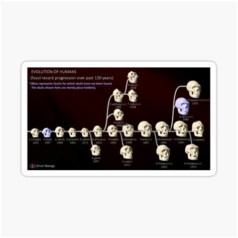 Alien Human Evolution Sticker 的图像结果