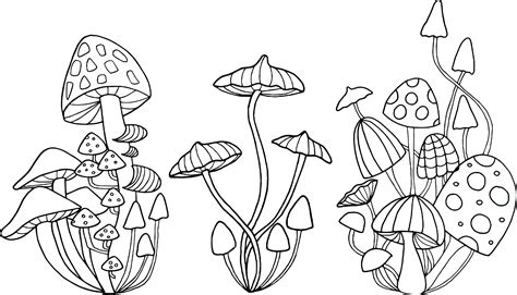 Mushroom Drawing Black And White - Drawing Word Searches