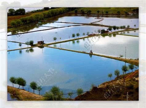 田野荷塘水塘围绕着的村庄高清图片下载_红动中国