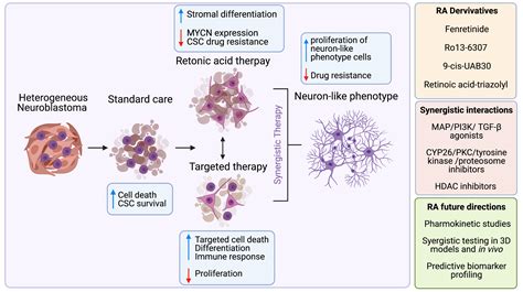 Differentiating Neuroblastoma: A Systematic Review of the Retinoic Acid ...