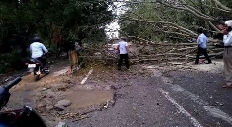 The morning after: Photos show how strong wind, rain left trail of ...