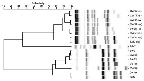 Comparison of Surface Proteomes of Adherence Variants of Listeria ...