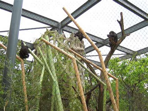 ZooLex Image - Climbing Opportunities