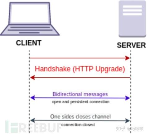 WebSocket Tutorial 的图像结果