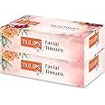 TULIPS Facial Tissue Paper 80 Pulls 3 Ply (Pack of 2) : Amazon.in ...