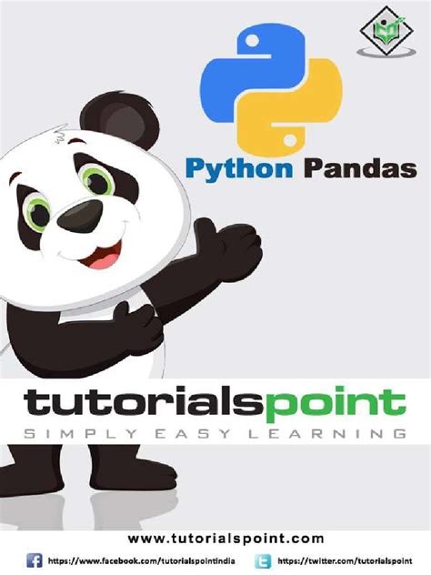 Panda Python Codes 的图像结果
