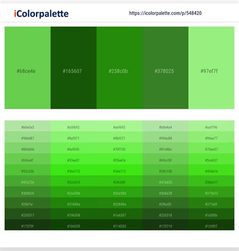Dark Lime Green Color