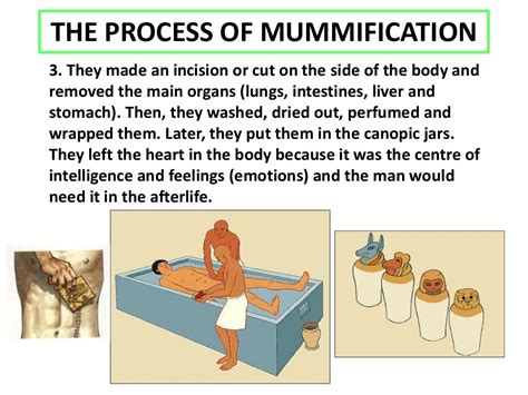 Image result for First Mummification