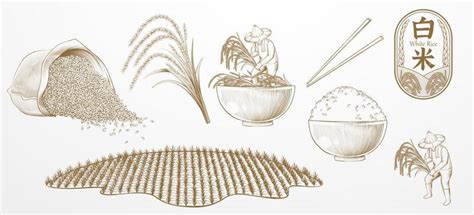 Java Rice Graphics 的图像结果