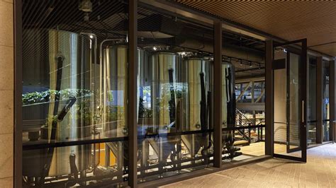 Little Miss Sunshine, Brisbane City Review