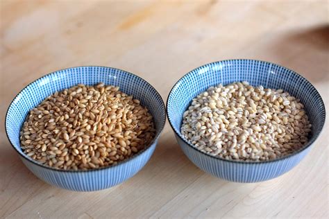 Barley And Pearl Barley