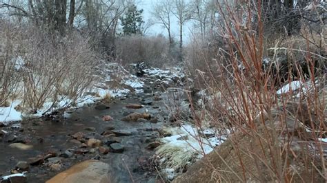 Through the seasons: Coal Creek, Colorado | Mindful Health Advantage, LLC