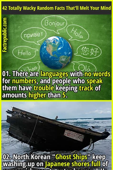 Image result for Totally Random Facts