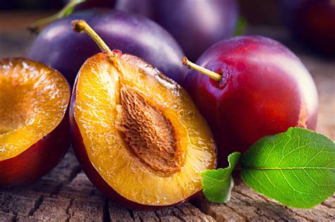 Sugar Plum European Plum (dwarf) - Heritage Fruit Trees