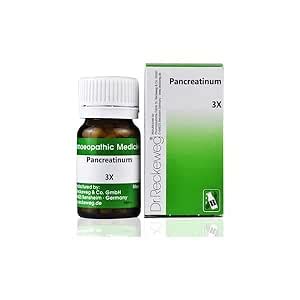 Buy PANCREATINUM 3X 20 GM RECKEWEG (N-301121) Online at Low Prices in ...