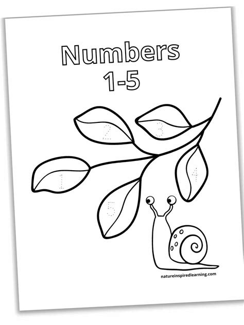 Tracing Numbers 1 5