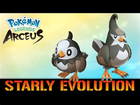 Image result for Starly Evolution Level