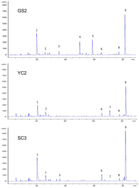 Compositional Characteristics of Glucuronide Conjugates in Regional ...