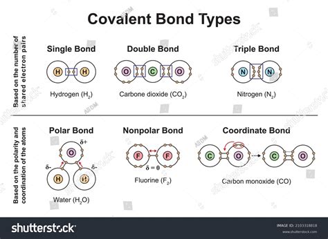 Image result for Covalent Bond Types