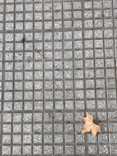 Autumn sidewalks with yellow leaves on the trees | Premium Photo
