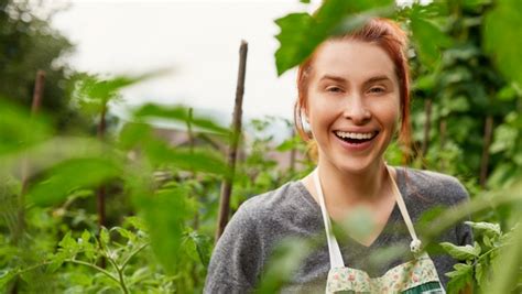 PSO2 Infinite Potential 的图像结果