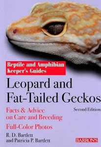 Leopard and Fat-Tailed Geckos: Buy Leopard and Fat-Tailed Geckos by ...