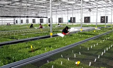 农业现代化 的图像结果