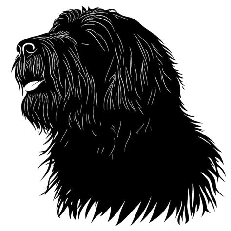 Newfoundland dog face Vectors - Download Free High-Quality Vectors from ...