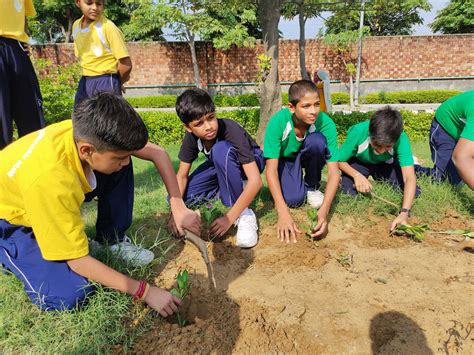 Sehwag International School || Best CBSE Boarding School in Gurgaon