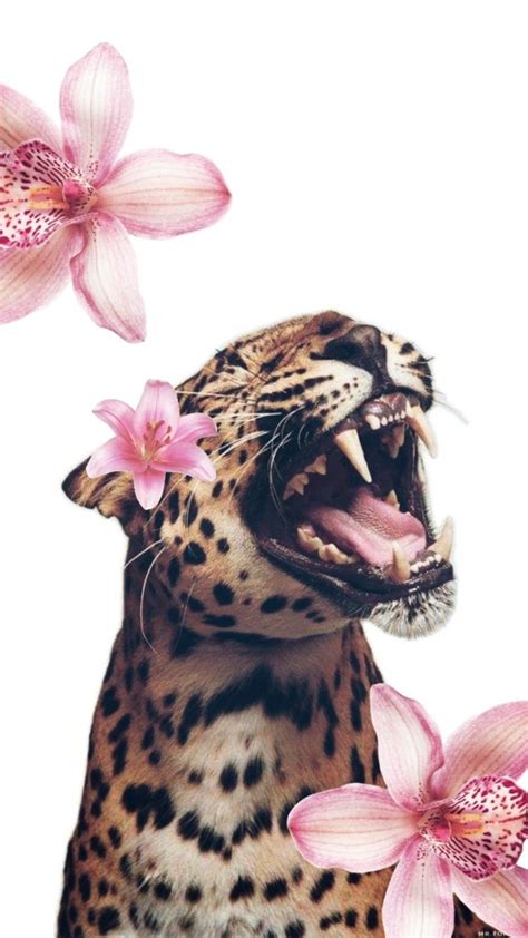 #leopard #flowers #fyp | Leopard wallpaper, Iphone wallpaper, Leopard ...