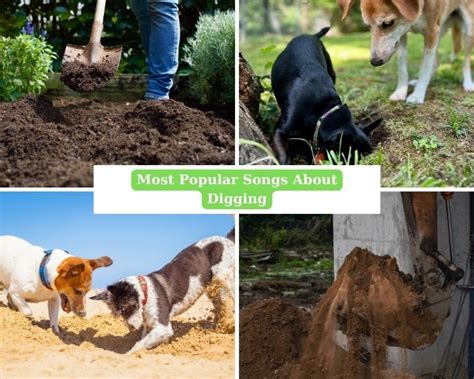 Digging Music 的图像结果