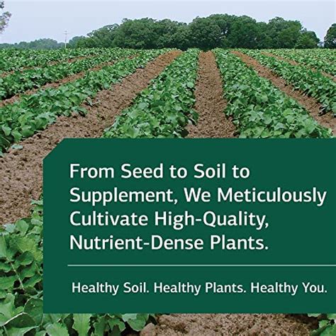 Image result for Standard Process Sp Cleanse