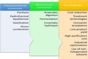 A comprehensive review on thermochemical, and biochemical conversion ...