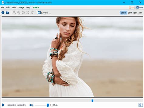 Image result for FLV File