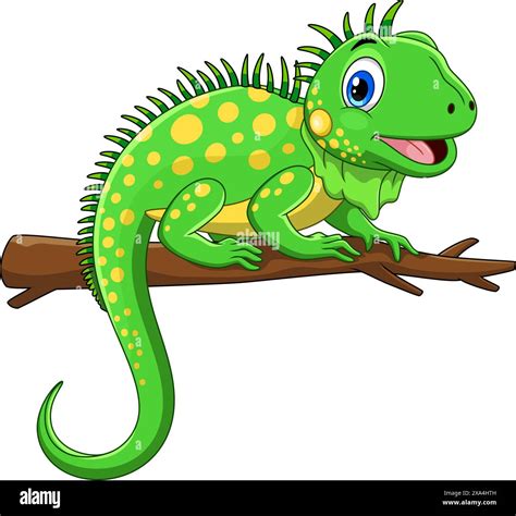 Vector illustration of Cute green iguana cartoon isolated on white ...