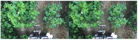 Sensors | Special Issue : Sensor and AI Technologies in Intelligent ...