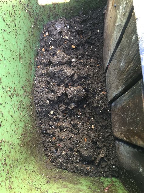 Basement Worm Farm 的图像结果