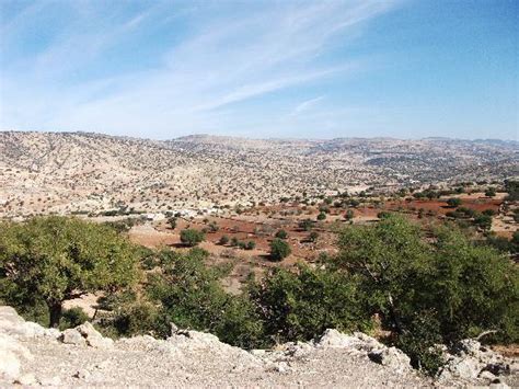 Ecotourisme et Randonnees (Essaouira) - 2022 What to Know Before You Go ...