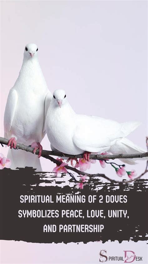 2 Doves Spiritual Meaning: Peace, Love, & Unity! | Spiritual meaning ...