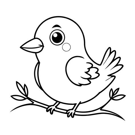 Bird Colouring Pages Kids