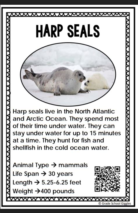 Polar arctic animals facts for kids free printable cards and games to ...