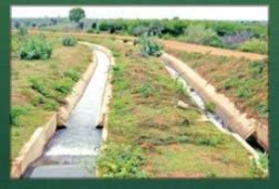 What are the various irrigation systems adopted in India?